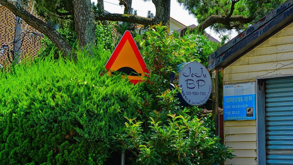 Jeju B.P. Guesthouse Exteriör bild